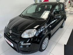 Schwarz Gebraucht 2024 Fiat Panda Kleinwagen | 13.490 € (Guter Preis)