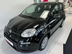 Schwarz Neu 2024 Fiat Panda Kleinwagen | 13.490 €