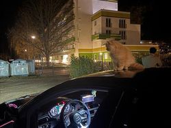 Schwarz Gebraucht 2017 Audi A5 Sportback Kleinwagen | 26.500 € (Fairer Preis)