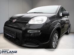 Schwarz Neu 2025 Fiat Panda Cross Cross Kleinwagen | 17.290 €