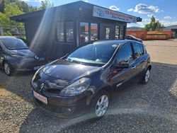 Schwarz Gebraucht 2009 Renault Clio III Rip Curl Kleinwagen | 1.999 € (Fairer Preis)
