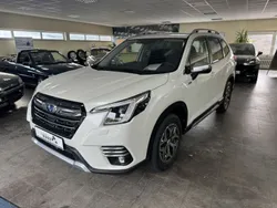 Weiß Neu 2024 Subaru Forester Active SUV | 36.490 € (Guter Preis)