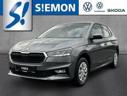 Grau Gebraucht 2025 Skoda Fabia Essence Kleinwagen | 16.930 € (Fairer Preis)
