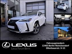 Titaniumweiß metalic (085) Gebraucht 2023 Lexus UX 300e Luxury Line SUV | 37.990 €