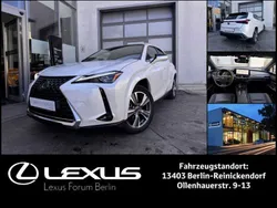 Titaniumweiß metalic (085) Gebraucht 2023 Lexus UX 300e Luxury Line SUV | 37.990 € (Etwas zu teuer)