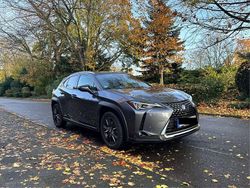 Gebraucht 2020 Lexus UX 250h SUV | 23.500 € (Fairer Preis)