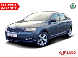 Grau Gebraucht 2019 Skoda Rapid Ambition Kombi | 14.950 € (Teuer)