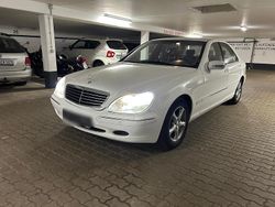 Weiß Gebraucht 1999 Mercedes S500 Limousine | 6.550 € (Fairer Preis)