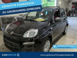 Colest601 colore esterno cinem Gebraucht 2020 Fiat Panda Easy Kleinwagen | 7.690 € (Guter Preis)