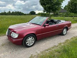 Rot Gebraucht 1994 Mercedes 320 Cabrio | 49.900 €
