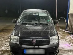 Schwarz Gebraucht 2010 Fiat Panda Kleinwagen | 1.850 €