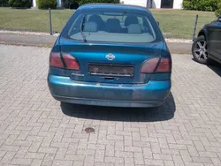 Blau Gebraucht 2002 Nissan Primera Comfort Limousine | 899 € (Etwas zu teuer)