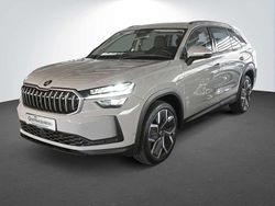 Grau Gebraucht 2024 Skoda Kodiaq Selection SUV | 48.790 € (Etwas zu teuer)