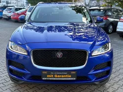 Blau Gebraucht 2019 Jaguar F-Pace Pure SUV | 23.890 € (Teuer)