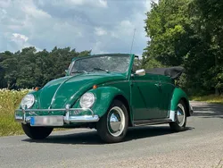 Grün Gebraucht 1962 VW Käfer Cabrio | 25.000 €