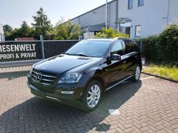 Schwarz Gebraucht 2010 Mercedes ML350 Edition SUV | 12.500 € (Etwas zu teuer)