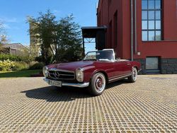 Rot Gebraucht 1965 Mercedes 230 Cabrio | 149.000 €