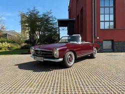 Rot Gebraucht 1965 Mercedes 230 Cabrio | 149.000 €