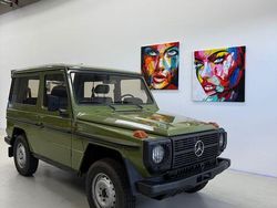 Grün Gebraucht 1981 Mercedes G300 SUV | 29.999 €