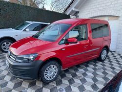 Rot Gebraucht 2019 VW Caddy Trendline Van / Kleinbus | 17.077 € (Teuer)