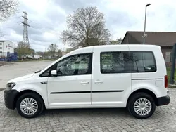 Weiss Gebraucht 2020 VW Caddy Van / Kleinbus | 15.351 € (Superpreis)
