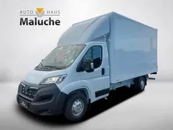 Cassablanca weiß Neu 2024 Opel Movano Van | 47.422 €