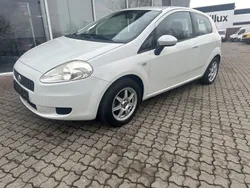 Weiß Gebraucht 2009 Fiat Grande Punto Active Kleinwagen | 2.890 € (Etwas zu teuer)