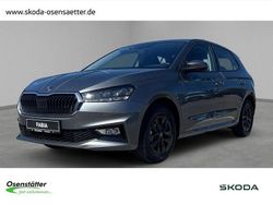Grau Neu 2025 Skoda Fabia Selection Kleinwagen | 23.699 € (Teuer)