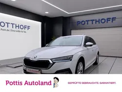 Weiß Gebraucht 2023 Skoda Octavia Style Kombi | 19.997 € (Guter Preis)