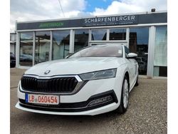 Candyweiß Gebraucht 2020 Skoda Octavia First Edition Kombi | 24.990 €