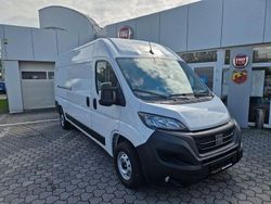 Weiß Neu 2025 Fiat Ducato Van | 33.500 € (Fairer Preis)