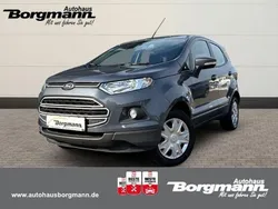 Grau Gebraucht 2015 Ford Ecosport Trend SUV | 9.990 € (Etwas zu teuer)