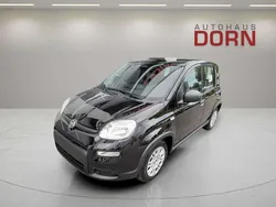 Cinema schwarz Neu 2025 Fiat Panda Kleinwagen | 16.590 €