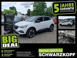 Jade weiss/arktis weiss Gebraucht 2021 Opel Grandland X SUV | 17.770 € (Guter Preis)
