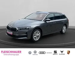 Grau Gebraucht 2024 Skoda Octavia Selection Kombi | 30.990 € (Fairer Preis)