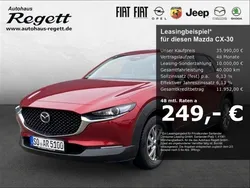 Rot Gebraucht 2024 Mazda CX-30 Exclusive-Line SUV | 35.990 €