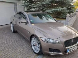 Braun Gebraucht 2017 Jaguar XF Portfolio Limousine | 25.999 € (Teuer)