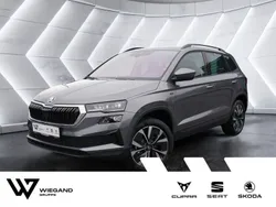 Grau Neu 2025 Skoda Karoq Tour SUV | 41.849 € (Etwas zu teuer)