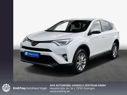 Weiß Gebraucht 2019 Toyota RAV4 Hybrid Team SUV | 23.390 € (Guter Preis)
