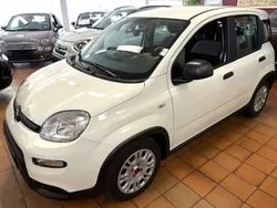 Weiß Gebraucht 2023 Fiat Panda Kleinwagen | 13.500 € (Fairer Preis)