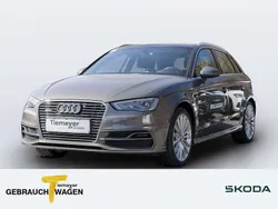 Dakotagrau metallic Gebraucht 2014 Audi A3 e-tron Kleinwagen | 15.260 € (Teuer)