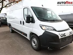 Weiß Neu 2025 Fiat Ducato Van | 32.437 € (Fairer Preis)