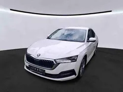Candyweiss Gebraucht 2022 Skoda Octavia Tour Limousine | 21.988 € (Guter Preis)