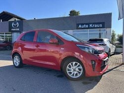 Rot Gebraucht 2017 Kia Picanto DREAM-TEAM Edition Kleinwagen | 7.800 € (Guter Preis)