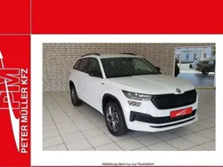 Weiss Gebraucht 2024 Skoda Kodiaq SportLine SUV | 45.955 € (Guter Preis)