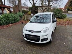Weiß Gebraucht 2017 Fiat Panda Easy Kleinwagen | 5.950 € (Superpreis)