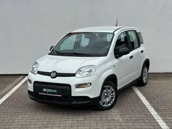 Weiß Neu 2024 Fiat Panda Kleinwagen | 13.750 € (Fairer Preis)