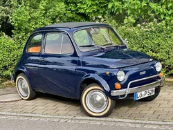 Blau Gebraucht 1969 Fiat 500L Van / Kleinbus | 11.900 €