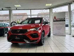 Rot Gebraucht 2020 Cupra Ateca SUV | 29.900 € (Fairer Preis)