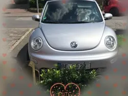 VW Beetle